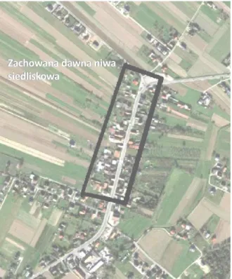 Fot. 9. Współczesna struktura  morfologiczna we wsi Stadła Fot. 9. Present morphological structure of in village Stadła 