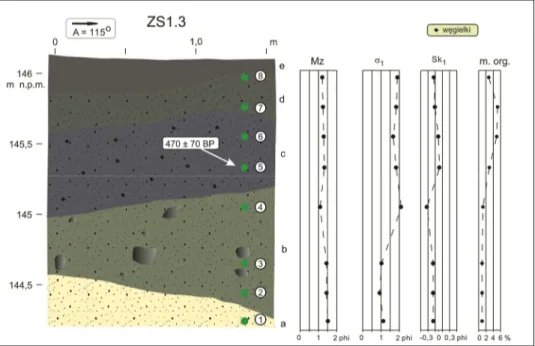Fig. 6. Geological structure of the eastern hillslope of the ZS1 depression: a – sands from fine  to  coarse;  b  –  sands  from  fine  to  coarse  with  individual  pebbles  /  rubble;  c  –  sands  from   fine to coarse with small pebbles, d – sands from