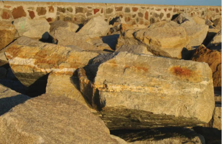 Fig. 11. Large block of Strzegom granite on the pier – a quartz vein, numerous fissures and  ferruginization zones are well visible  