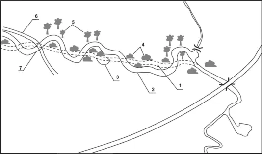 Fig. 7. Situation plan of Cole River reach after restoration (after Żelazo et al. 2004): 1 – for- for-mer river channel, 2 – new river channel, 3 – abandoned channel, 4 – willow bushes, 5 – new  trees, 6 – ground road, 7 – ford 