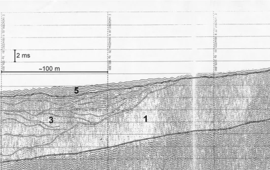 Fig.  3.  Part  of  seismoacoustic  record  profile  82,  Subbottom  Profiler,  frequences  5  kHz