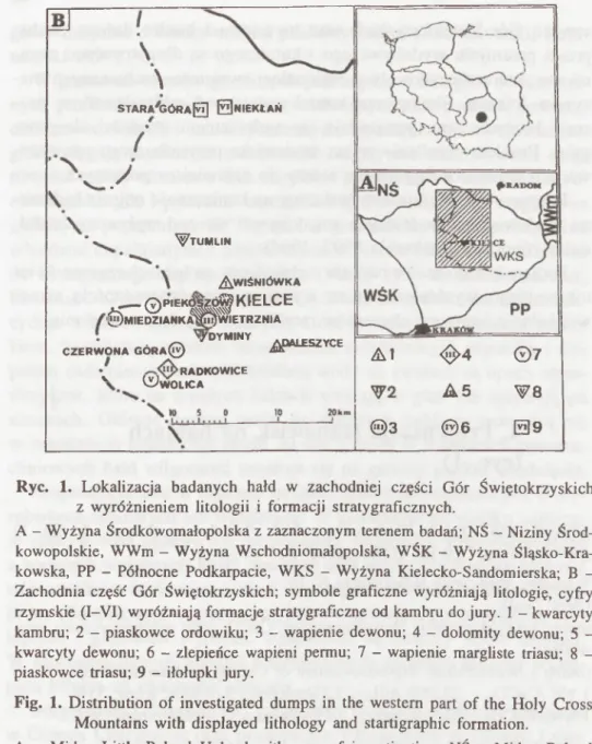 Fig.  1.  Distribution  of  investigated  dumps  in  the  western  part  of  the  Holy  Cross  M ountains  with  displayed  lithology  and  startigraphic  formation.