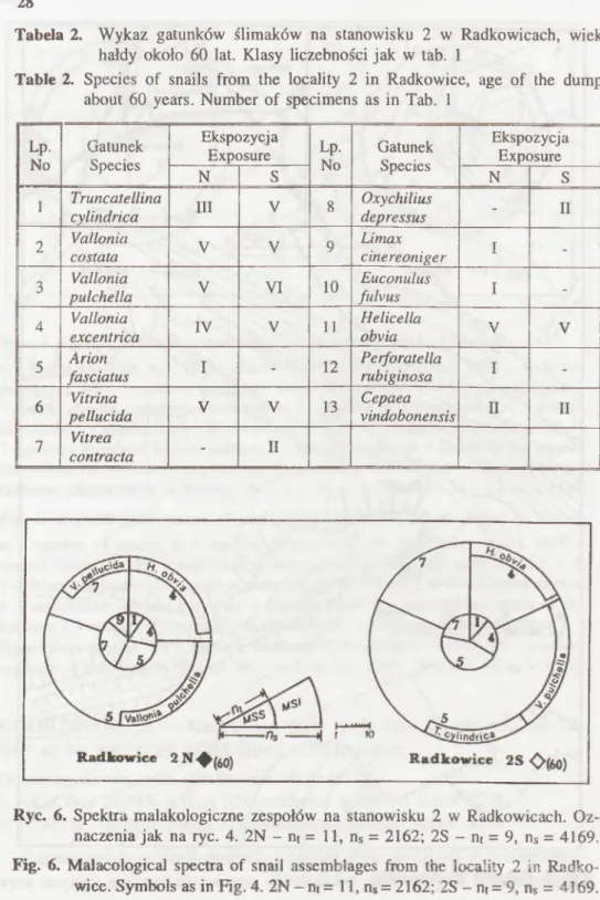 Tabela  2.  W ykaz  gatunków  ślimaków  na  stanowisku  2  w  Radkowicach,  wiek  hałdy  około  60  lat