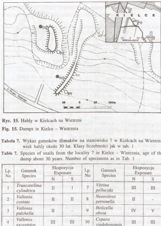 Tabela  7.  W ykaz  gatunków  ślimaków  na  stanowisku  7  w  Kielcach  na  W ietrzni,  wiek  hałdy  około  30  lat