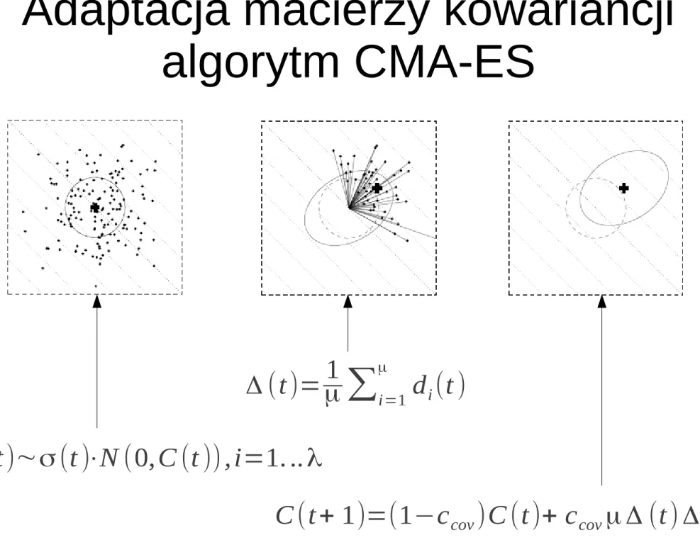 Rysunek z:  A. Auger, N. Hansen: 