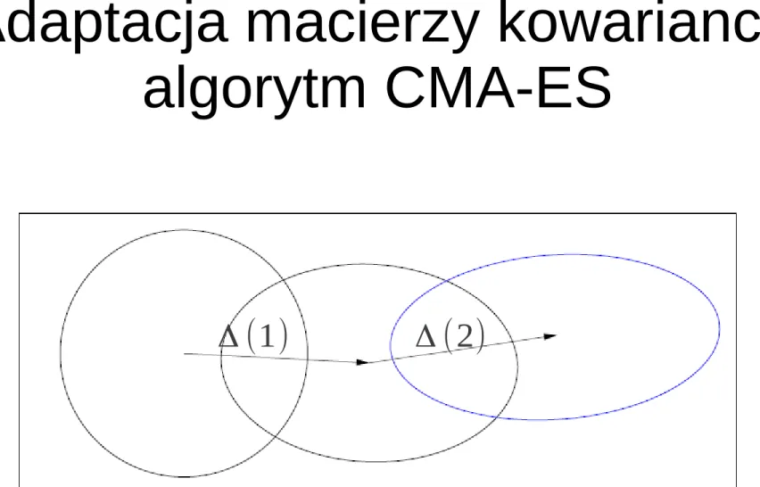 Rysunek z:  A. Auger, N. Hansen: 