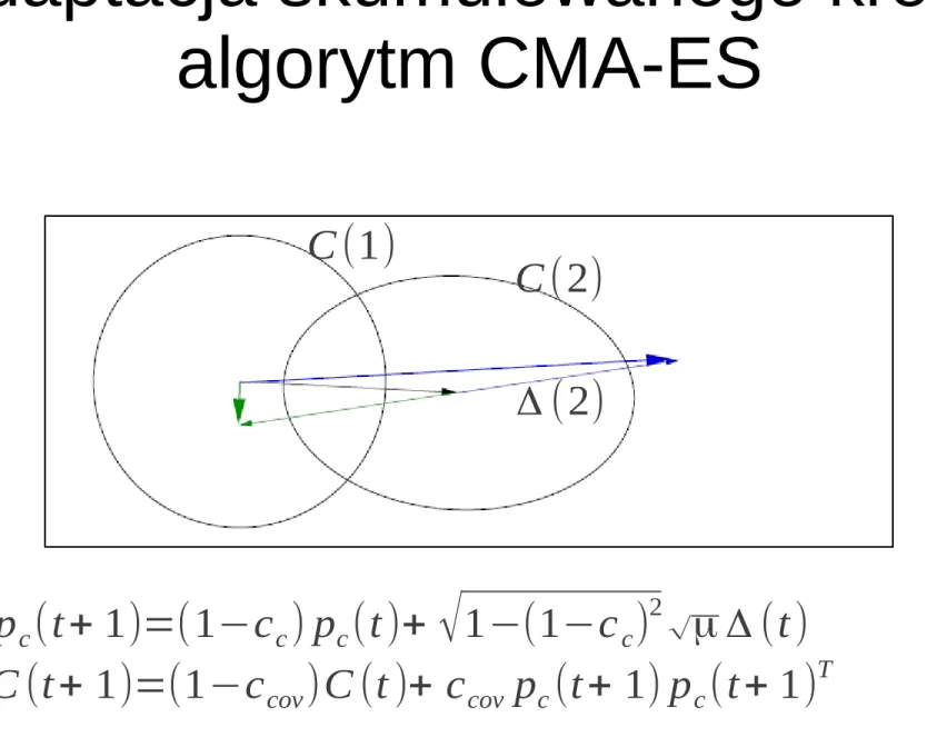 Rysunek z:  A. Auger, N. Hansen: 