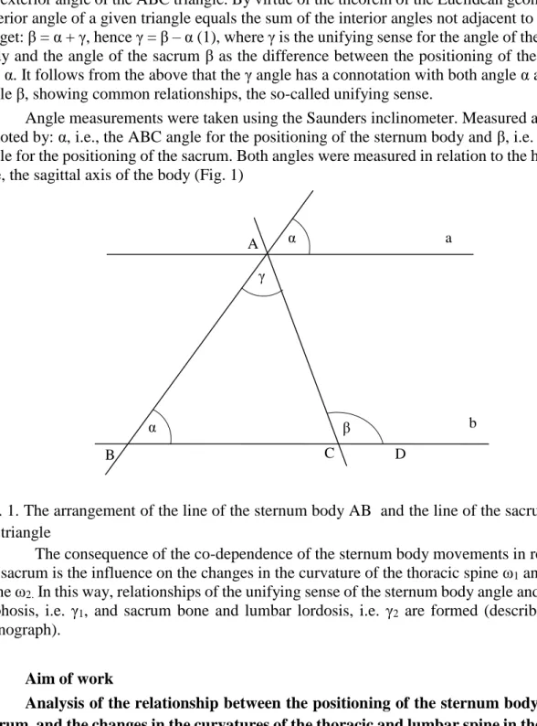 Fig. 1. The arrangement of the line of the sternum body AB  and the line of the sacrum AC in  the triangle 