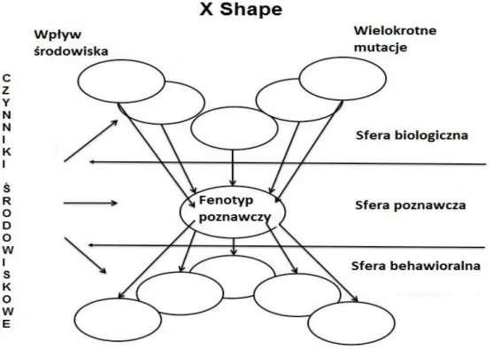 Rys. 1. Diagram prezentujący kognitywny fenotyp X Shape dla zaburzeń neurorozwojowych  (Frith, 2012, s
