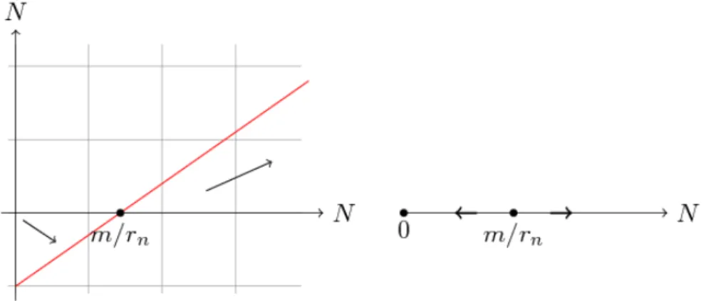 Rysunek 1.4. Zależność (N, ˙ N ) dla równania (1.6 ) w przestrzeni (R + ) 2 , gdzie R + oznacza liczby rzeczywiste nieujemne (po lewej) oraz odpowiadający tej zależności portret fazowy (po prawej).