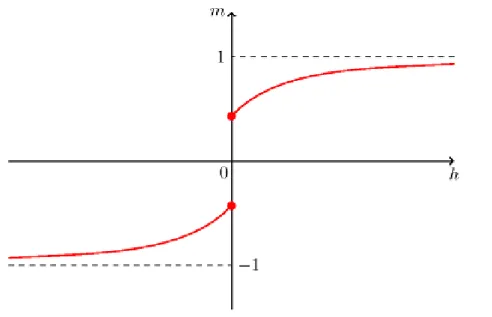 Rysunek 2.4. Zmiana namagnesowania m ze względu na zmieniającą się wartość zewnętrznego pola magnetycznego h.