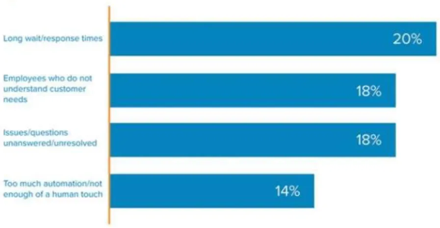 Figure 1. Top customer frustrations (Rio, 2019.) 