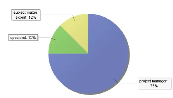 Figure 13. Typical role in the projects 