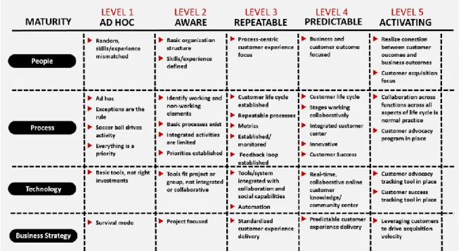 Figure 9. Five levels of customer experience maturity (adapted from Openview s.a.) 