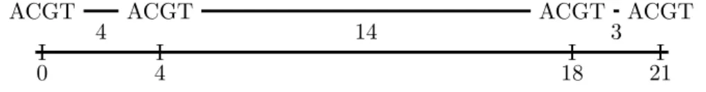 Figure 5.1: Example of restriction map, where the genome (top) is cut into fragments at occurrences of ACGT