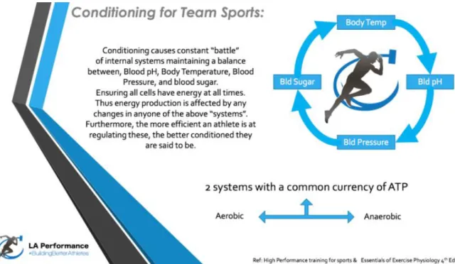 Figure 4 Conditioning for team sports (Hendricks 2016) 