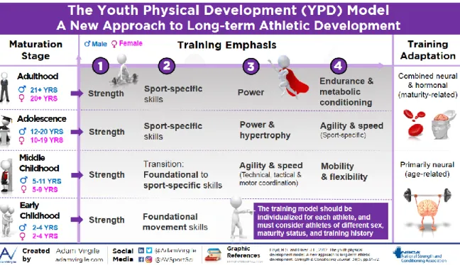 Figure 11 The youth physical development model (Virgile)  