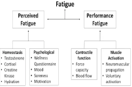 Figure 12 Perceived and performance fatigue influencers (Edwards et al. 2018, 2) 