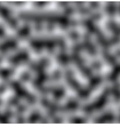 Figure  4  shows  how  the  value  for  noise  is  calculated  by  using  Mathf.PerlinNoise,  the  random  value  calculated  earlier,  and  Time.time  value, which is basically just a value that comes from a running real-time  timer that starts running wh