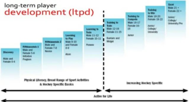 Figure 4:  Long term player development (LTPD) Modified from Balyi, 2001