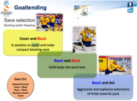 Figure 6:  Save Selection:  Blocking and/or Reacting (Magnusson, 2013)