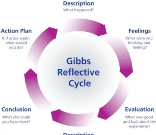Figure 1: Gibbs Reflective cycle (Stewart n.d.) 