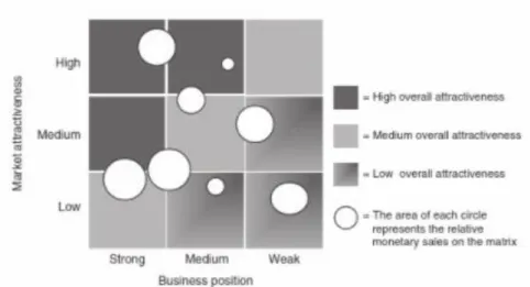 Figure 7.  Illustrative DPM. (Sally Dibb, 2008, p. 110) 