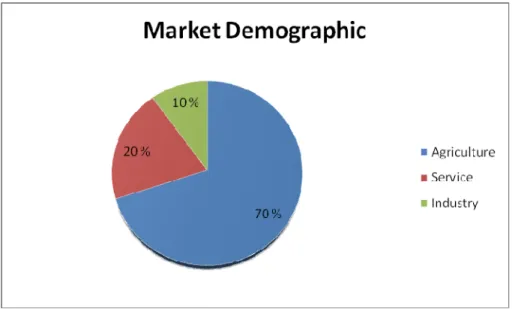 Figure 1. A graph showing the market demographics has divided into sectors 