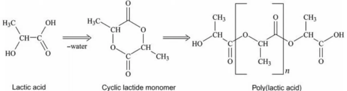 Figure 1.  Polymerization of PLA. [14] 