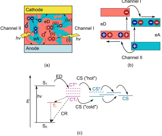 Figure 2.4 Schematic illustrations of (a) the basic CT processes taking place at the interfaces of the eD and eA compounds in the photoactive layer together with the (b) one-electron and (c) many-electron state descriptions of the charge generation in a PS