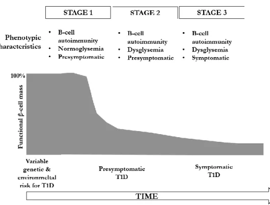 Figure 5.  The sequential  progression of T1D can be divided  into three stages,  i.e., 1-3, among which  stages 1 and 2 are pre-symptomatic
