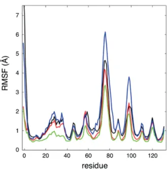 Figure 7.1 Root mean square ﬂuctuation per residue for all four simulated systems. For the systems without a ligand, black corresponds to the wild type and red to the P38G mutant