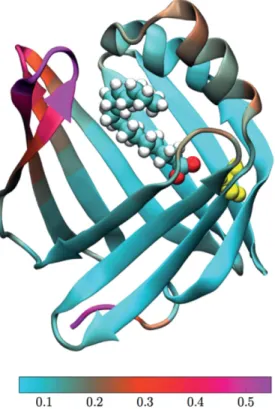 Figure 7.2 A visualization of the RMS ﬂuctuations in the P38G mutant with the palmitate chain inside the binding pocket