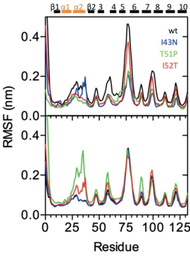 Figure 7.4 Root mean square ﬂuctuation per residue for all eight simulated systems. The empty protein is shown in the top graph and the liganded P2 in the bottom