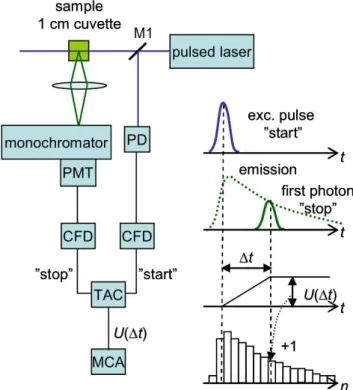 Figure 3.6 A scheme (left) and time diagram (right) of TCSPC measuring system. 26
