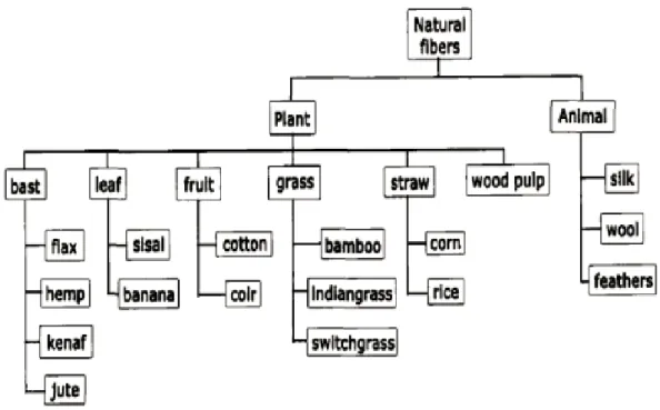Fig 2.1. Classification of plant fibers [8] 