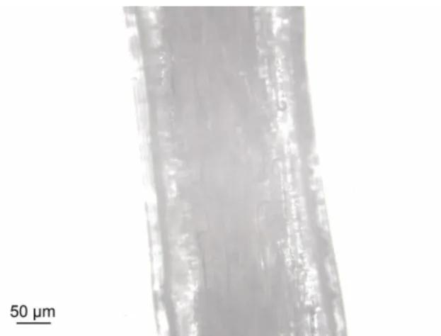 Fig. 4.1. Optical microscope image of raw fiber 