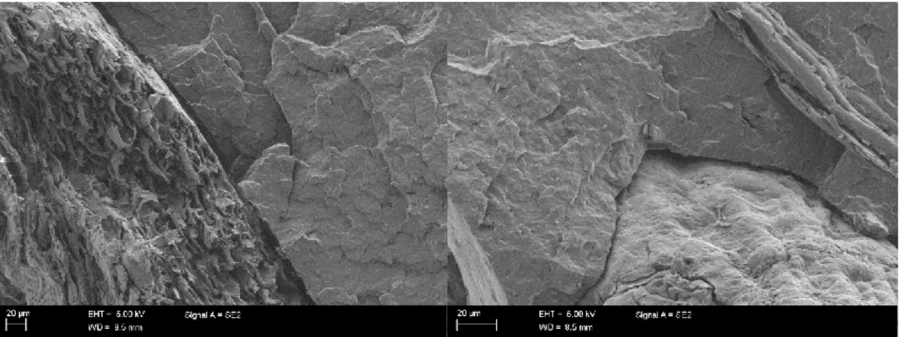Fig. 4.47. SEM image of PP reinforced with raw fibers 