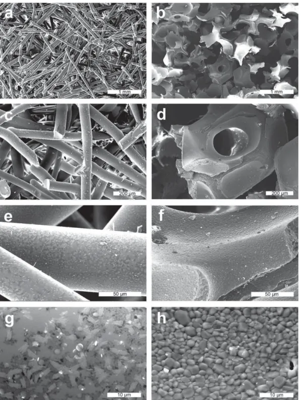 Fig. 1. Scanning electron micrographs of BioRestore (left; a, c, e, g) and BoneCeramic (right; b, d, f, hDWPDJQL¿FDWLRQ of 20x (a, b), 80x (c, d), 500x (e, f), and 2000x (g, h)