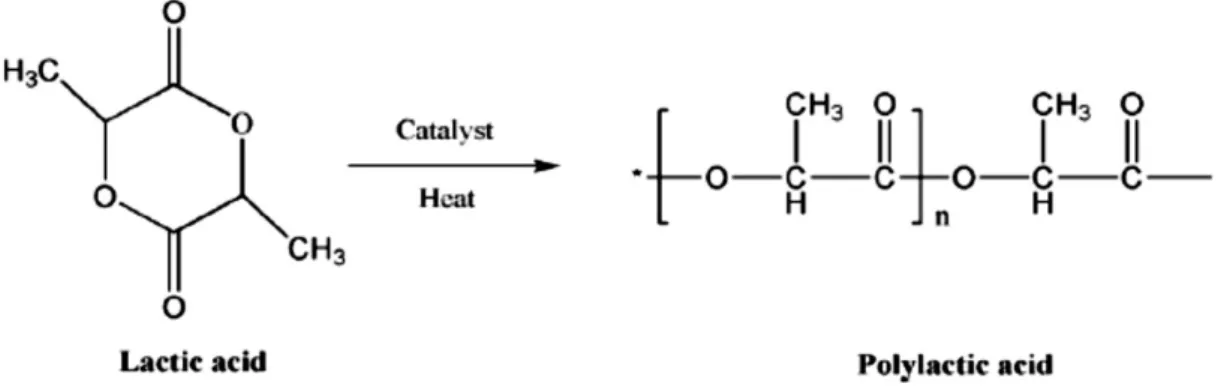 Figure 4: Synthesis of PLA by ROP (Jiang &amp; Zhang, 2013) 