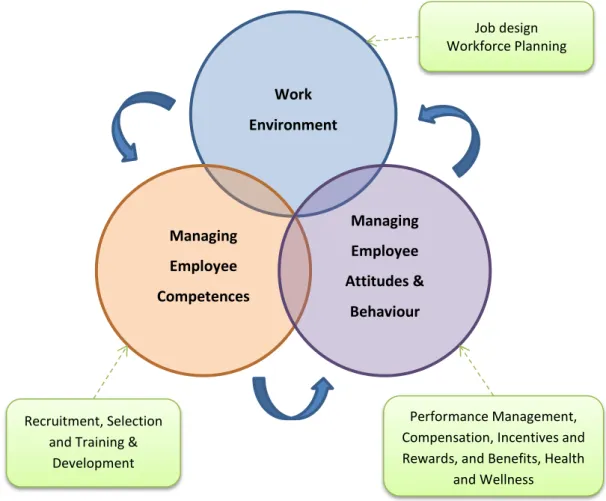 Figure 6. HR primary processes and their internal alignment (Lepak and Cowan 2010, 13) 