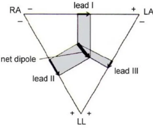 Figure 2.8 The Einthoven's Triangle, where the electrode positions are as follows: RA