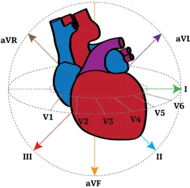 Figure 3.2 3D mapping of leads to the surface of the heart Localization ST-elevation ST-depression Occluded coronary artery