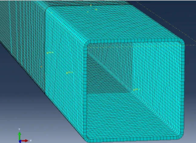 Figure 6.2 A meshed view of a chord section in Abaqus.
