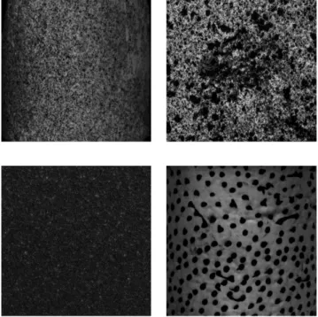 Figure 7. Examples of various speckle patterns for DIC. 