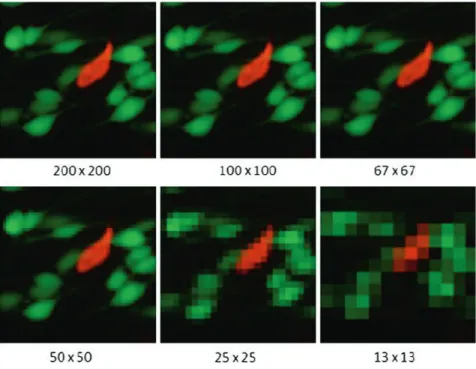 Figure 12. Effect of reducing resolution on the image details [74]. 