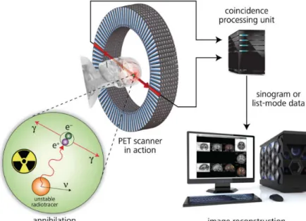 Figure 2.1: The principle of a PET scan. The gamma photons  produced by positron decay are detected in the ring of the  scanner and processed to form a tomographic image of the  subject