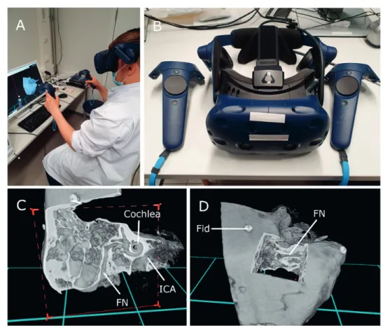Fig. 1   a Setup of the VR interface during task performance, (b) Head-mounted display and a pair of controllers, (c) and (d) View of a temporal  bone in the VR environment
