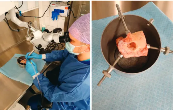 Figure 9. Wet lab and temporal bone dissection training. (Published with  courtesy of Microsurgery Center of Eastern Finland, Kuopio University  Hospital) 