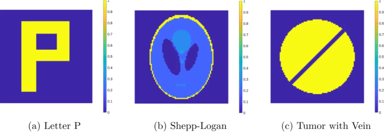 Figure 5: The discretized phantoms used to test the reconstruction accuracy of the algorithms